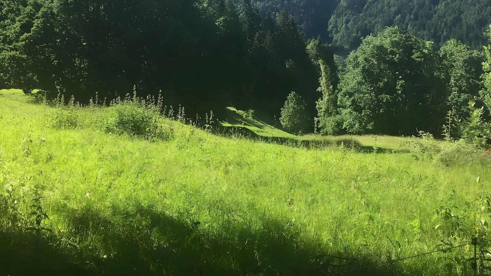 Face Au Mont Blanc, Plein Sud Villa Cordon 0*,  France